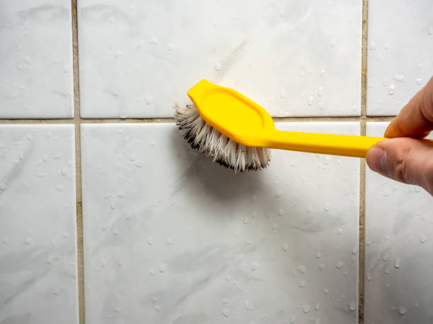 Best Residential Mold Remediation in Horizon West, FL