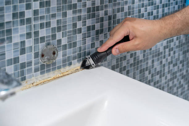 Best Bathroom Mold Remediation in Horizon West, FL