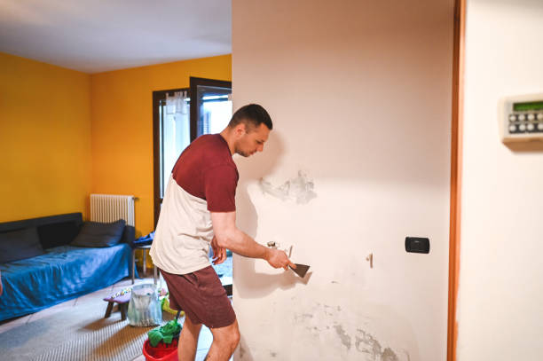 Best Mold Testing and Inspection Services in Horizon West, FL
